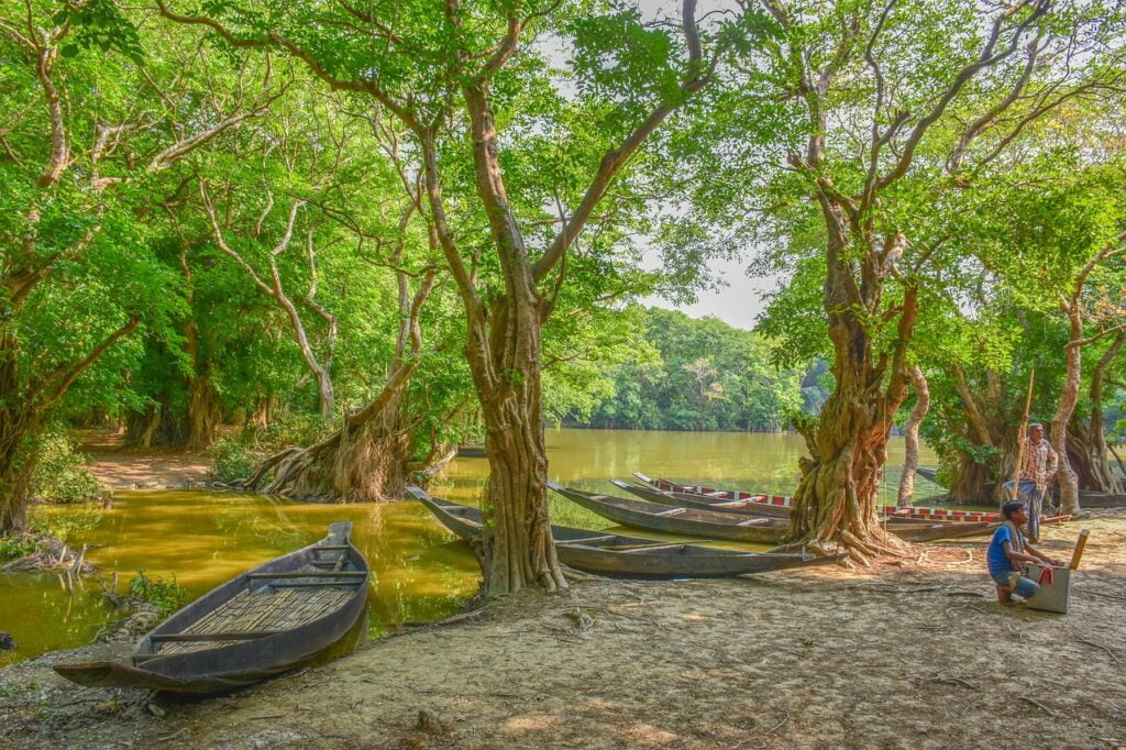 bangladesh, landscape, nature