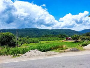 a rural area with mountains in the background