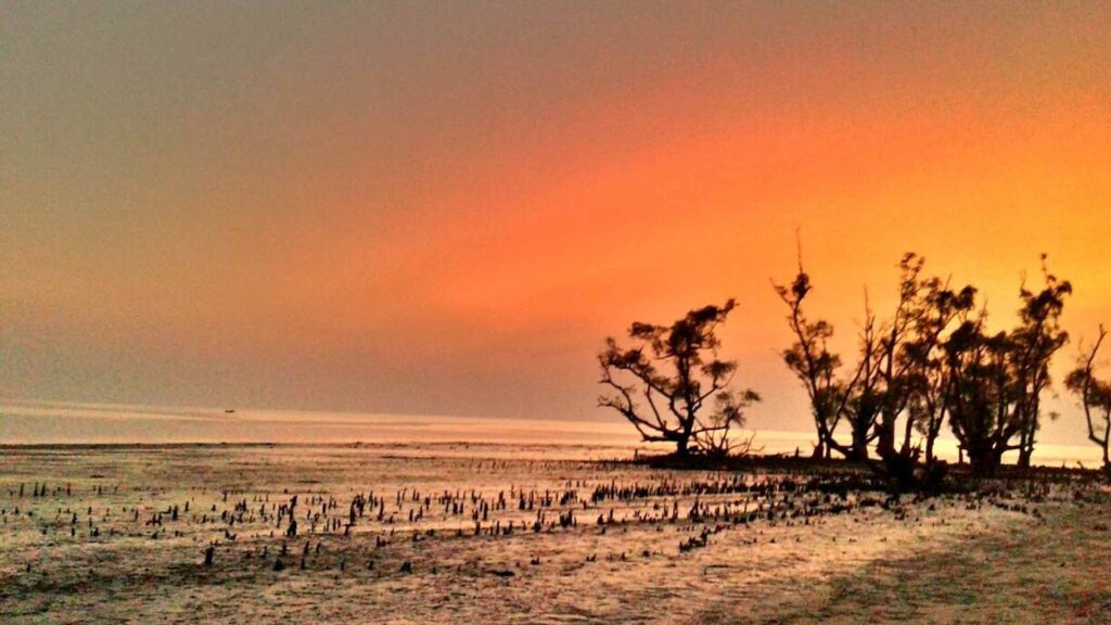 Kotka Sea Beach Sundarbans