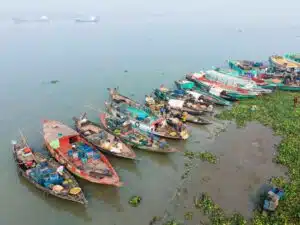 Pdma river