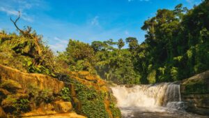 Waterfalls & Forest Trails of Bandarban